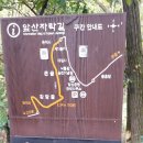 『앞산 자락길』 탐방하는 대구시내 생활공감 모니터단원들 오프라인 행사 이미지