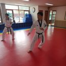 이청호태권도스쿨 이미지