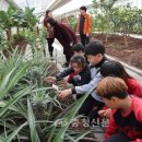 과일나라테마공원1 이미지