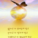 큰바다곰장어