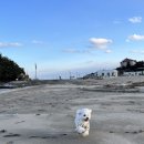 런던 애견하우스 이미지