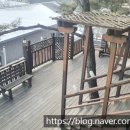 파인벨팬션