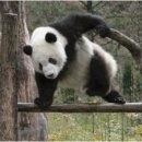 키즈락캠핑장 이미지