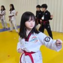 골든킥 태권도 이미지