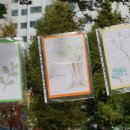 오치1동작은도서관 네이버블로그