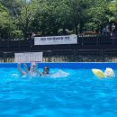 구미동 물놀이장 | 분당 탄천 수영장-구미 어린이 무료 유아 물놀이장 2025 개장