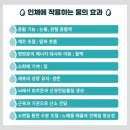 골든크라운 크로스핏 서대문역 이미지