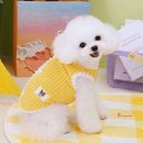 폼폼애견 이미지