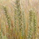 진원동초등학교 이미지