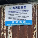 효묵농장 네이버블로그