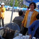 일직초등학교 이미지