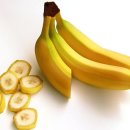 바나나 동물병원 이미지