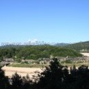 인삼웰빙사우나 이미지