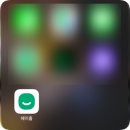 안녕,고양이 | 헤이홈 가정용국산홈캠 고양이 펫캠 후기