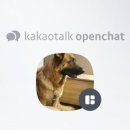 포승점 현대자동차 이미지