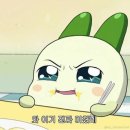 스시아시타송천 이미지