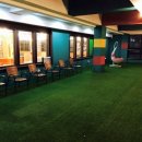 내동애견 이미지