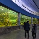 대전아쿠아리움 이미지