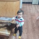 중근농장 이미지