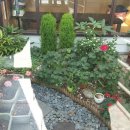 소두방칼국수&카페 이미지