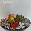 유림꽃화원 - 오산시 성산새싹길 2 | 유림꽃화원