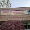 푸른마을작은도서관 | 판교 봇들마을 4단지 푸른솔 작은도서관, 어린이 독서 스피치 개강