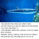 이번달에 오픈한 중국 최대 크기 수족관 고래상어. 이미지