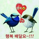 기분좋은날 이미지