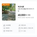 영월 계곡 첫물내기캠핑장 피크닉존 | 내돈내산 후기