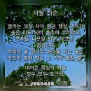 사월 하순 이미지