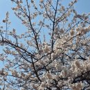 해뜨는 집 이미지