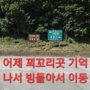 꾀꼬리 1개찾고 여러곳 목청답사.66 (상황버섯만) 이미지