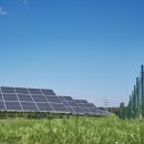 성심 태양광발전소 이미지