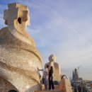 그린카사 이미지