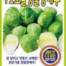 그린종묘농약사 이미지