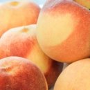 설아농장 이미지