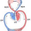 산성한의원 이미지