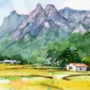 월출산이야기 이미지