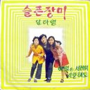 유니버샬 Daum카페