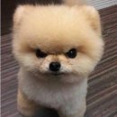GS 편의점