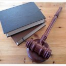 에스엘(SL) 이미지