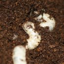 우화농장 이미지