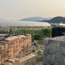 흥동 농장 이미지