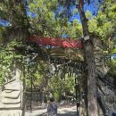 허니(HONEY) | 레제트(맛) 레스토랑 &amp; 튀르키예 전통 간식 카이막 매장 더 허니하우스(The Honey House) #내돈내산 후기