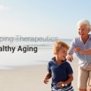 디앤디(D&D) 이미지