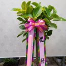 신평주유소 이미지