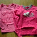 톰앤키티 이미지