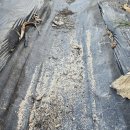 9월 3일(수) 전북지부 출석부 이미지