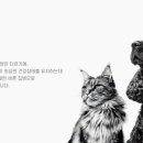 로얄케어클럽 이미지