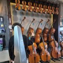 바이올린(중급) | 울산 바이올린 입문&amp;취미 악기 찾는다면, 제이콥 Gv-45 실사용 후기